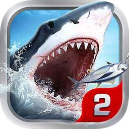 bti体育 ios
